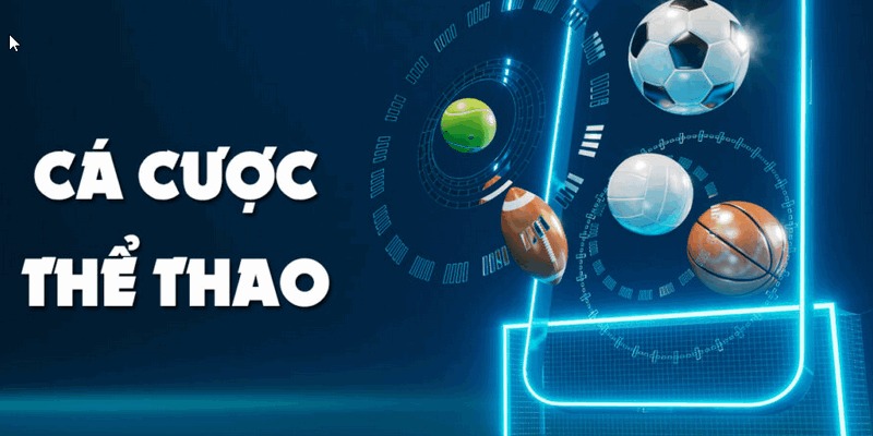 Cách đọc và phân tích tỷ lệ odds